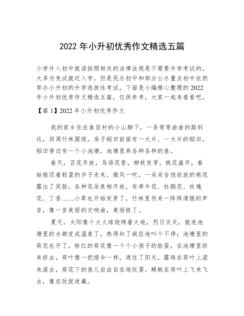 2022年小升初优秀作文精选五篇