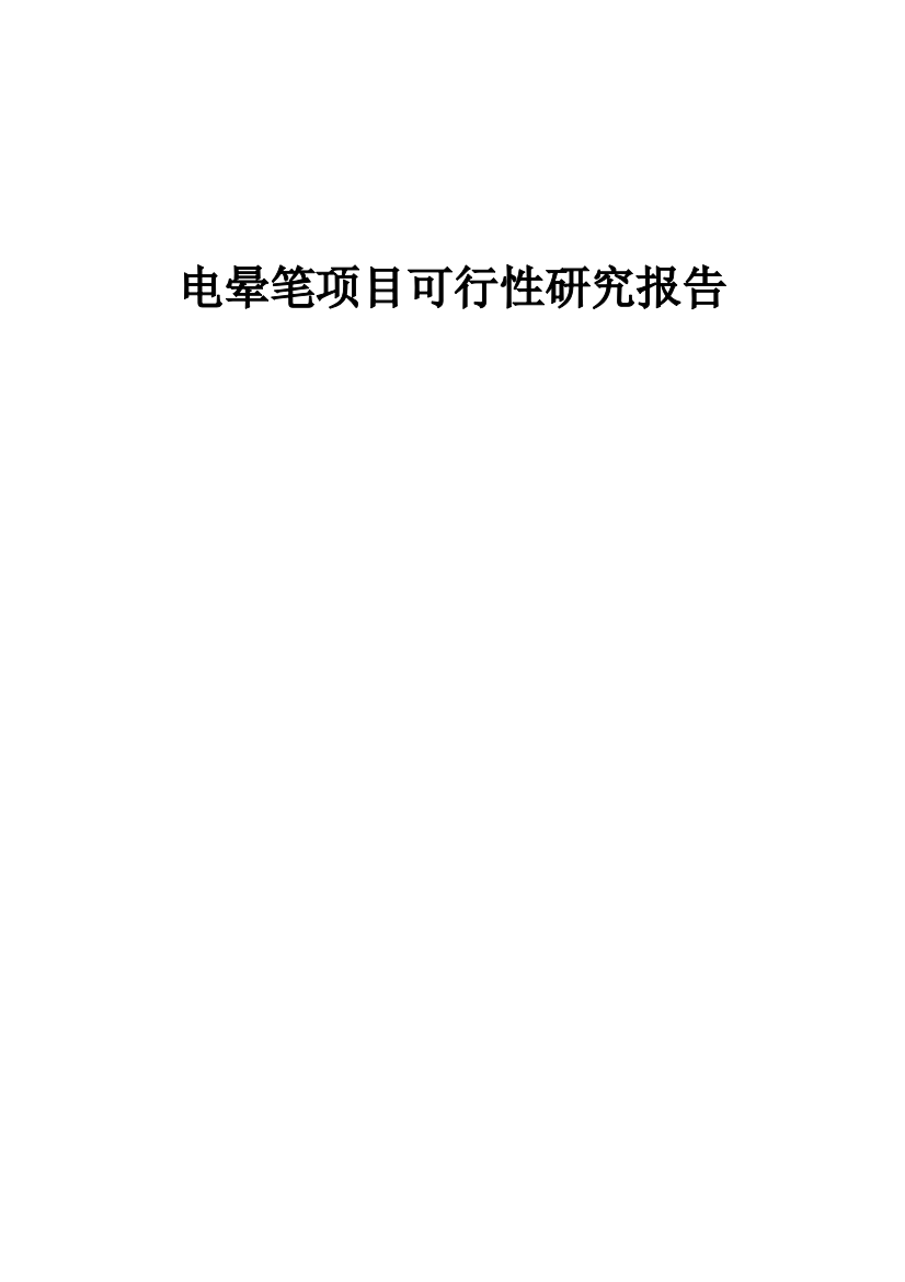 电晕笔项目可行性研究报告