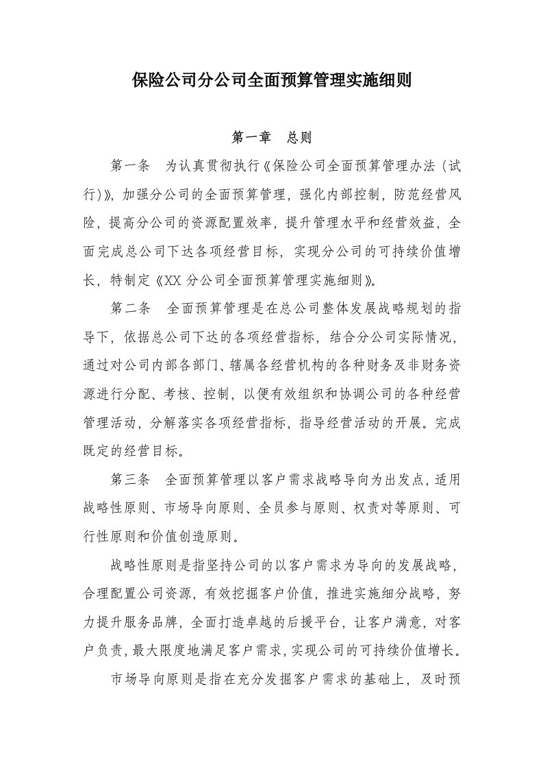 保险公司全面预算管理实施细则