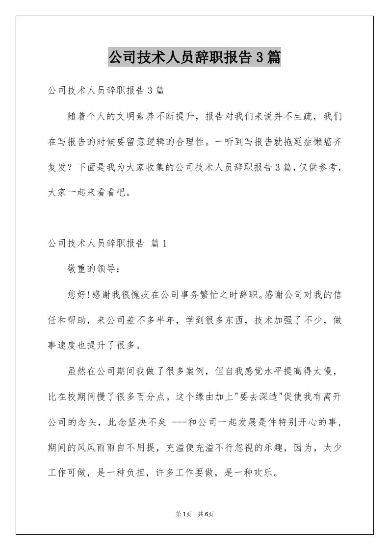 公司技术人员辞职报告3篇