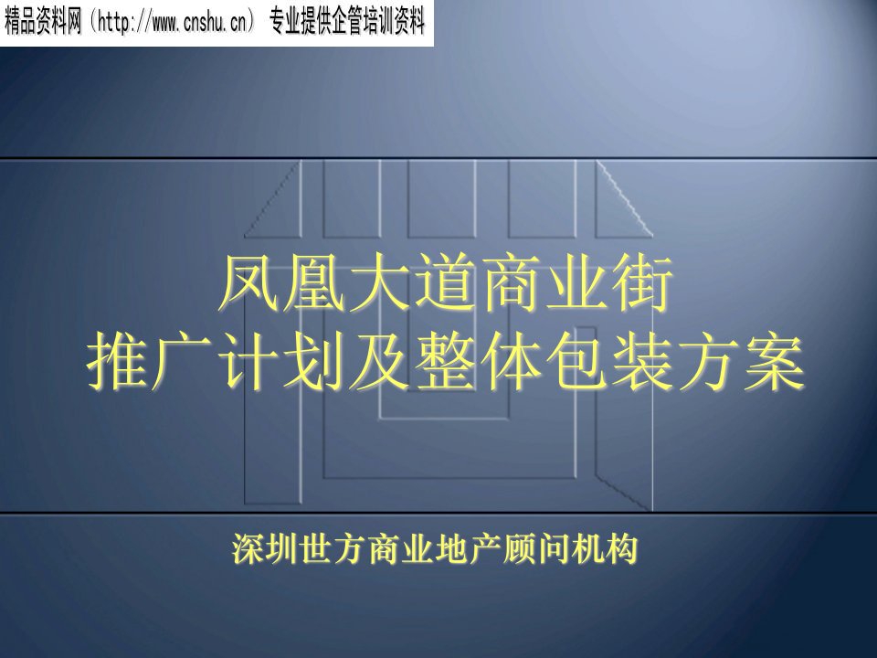 房地产营销推广-深圳世方商业地产凤凰大道商业街推广计划及整体包装方案28页