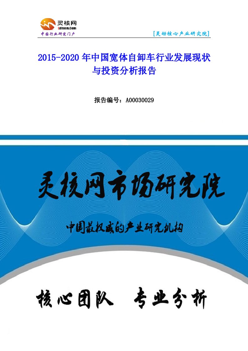 中国宽体自卸车行业发展现状与投资分析报告-灵核网