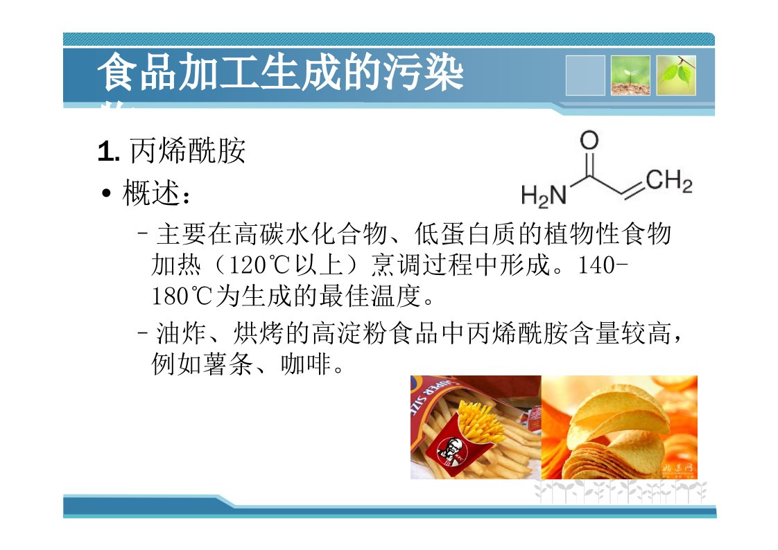 食品生产加工过程生成的有害物质课件