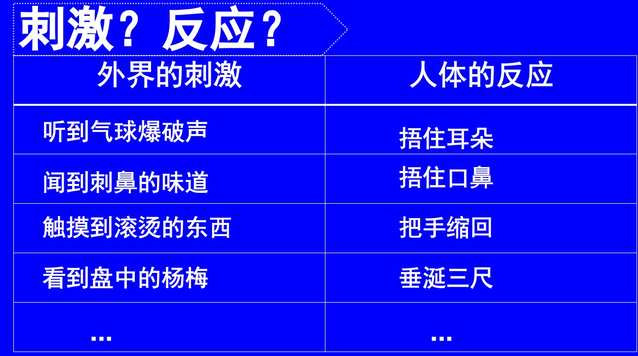 8人体的司令部