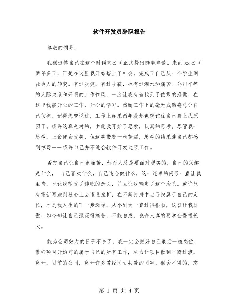 软件开发员辞职报告