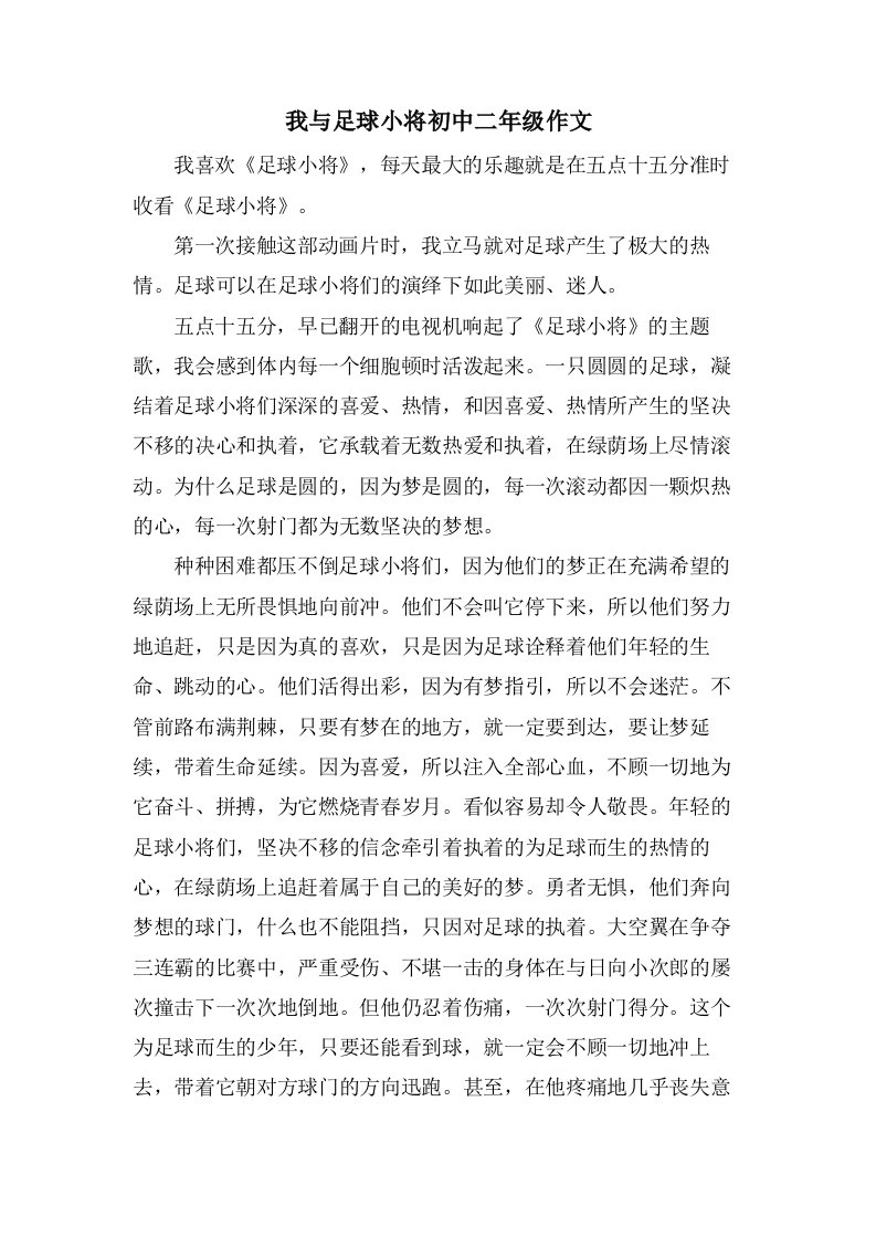 我与足球小将初中二年级作文