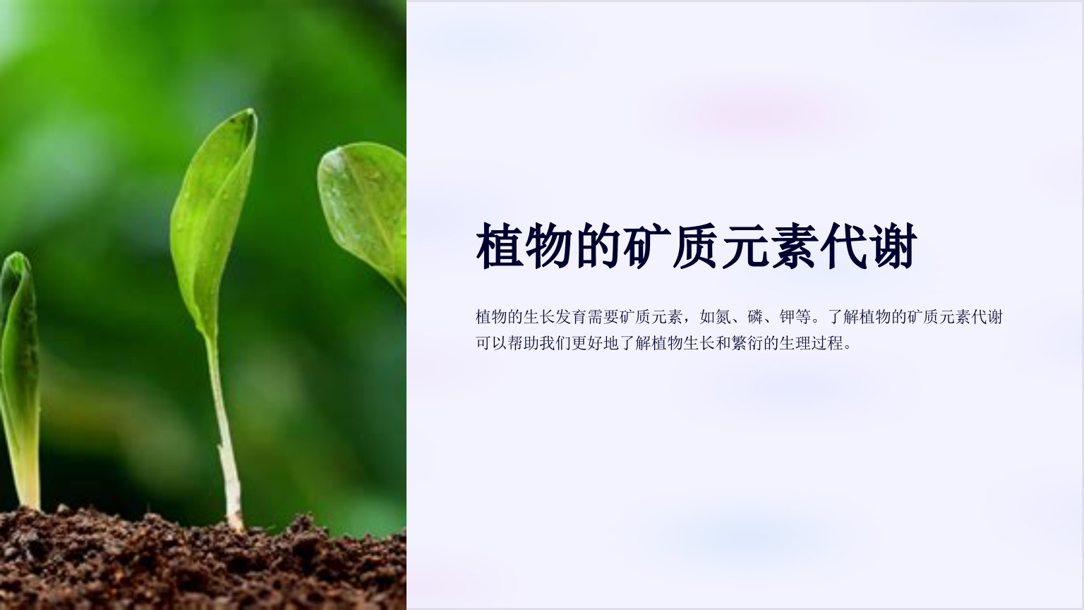 中国科学院大学植物生理学课件第二章植物的矿质元素代谢