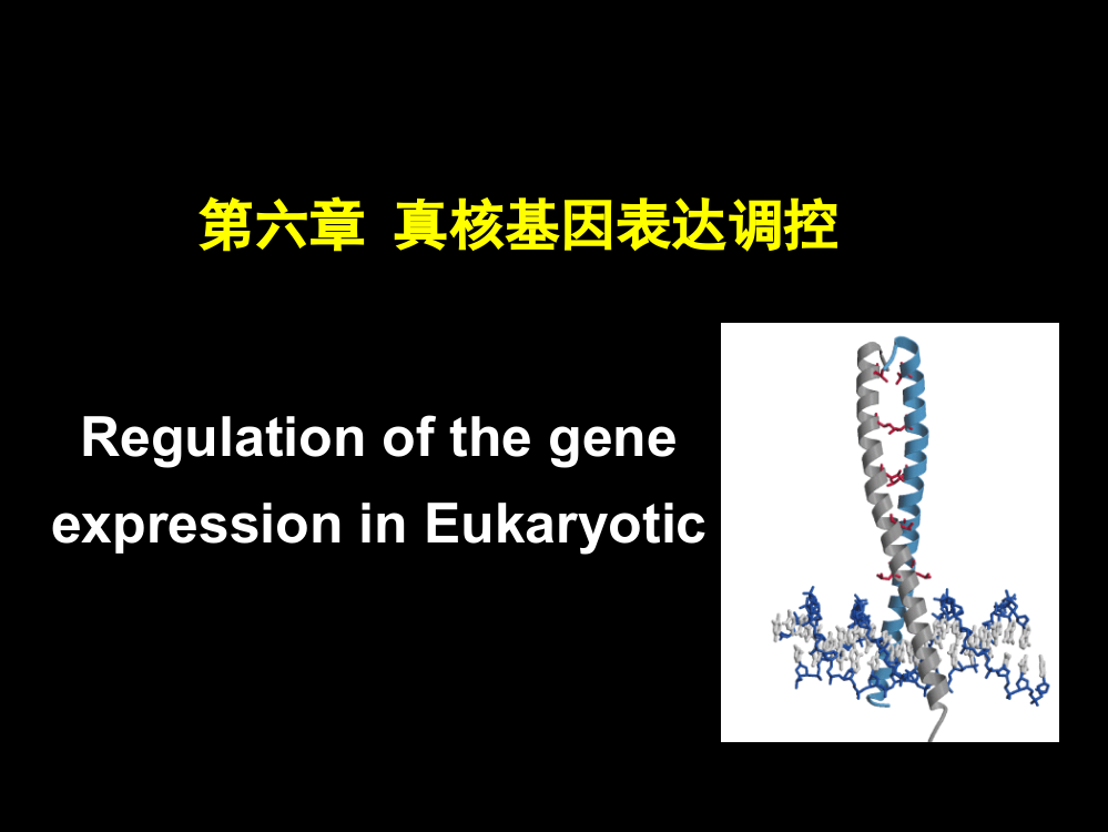 第六章-yxy-真核基因的表达与调控