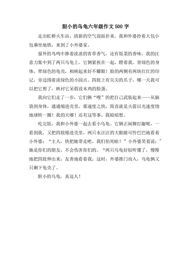 胆小的乌龟六年级作文500字