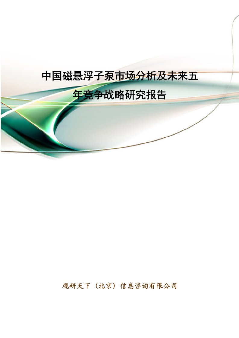 中国磁悬浮子泵市场分析及未来五年竞争战略研究报告