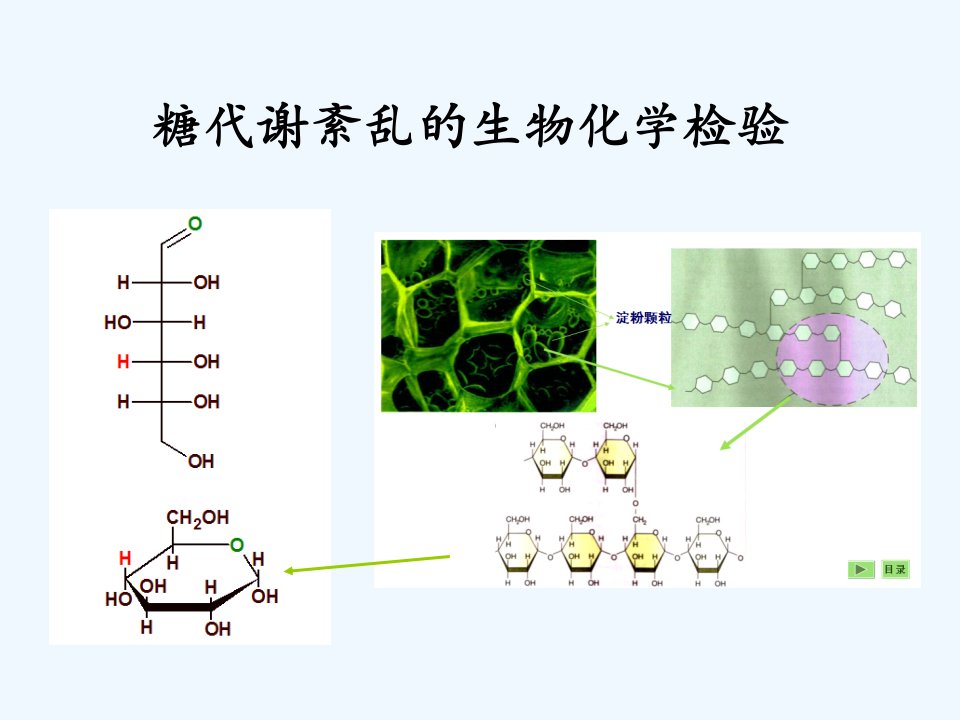 糖代谢紊乱生物化学检验