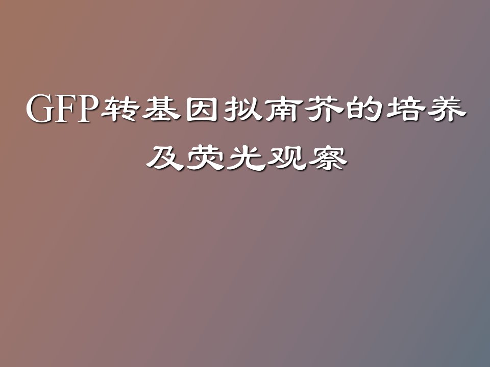 转基因拟南芥培养