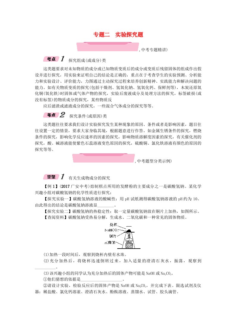 贵阳专版2022中考化学复习专题2实验探究题精讲检测