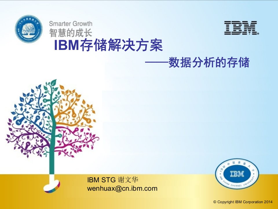 IBM存储解决方案—数据分析的存储