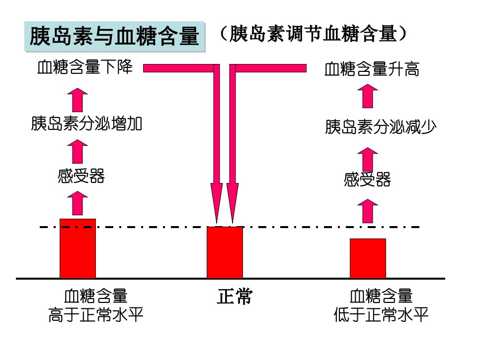 神奇的激素2