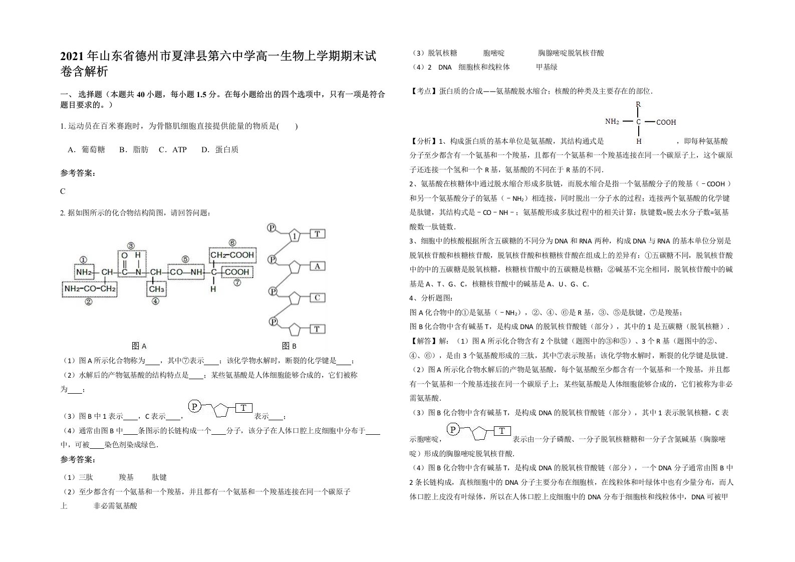 2021年山东省德州市夏津县第六中学高一生物上学期期末试卷含解析