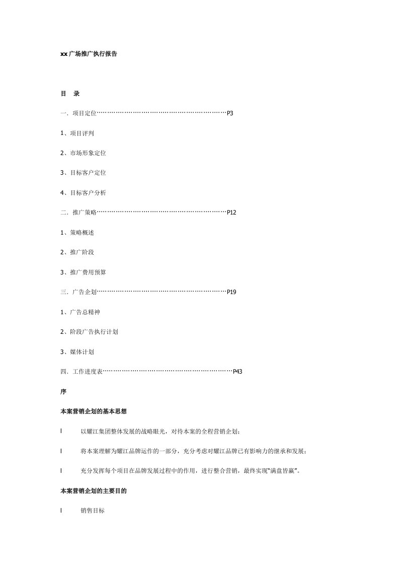 施工组织-xx广场推广执行报告