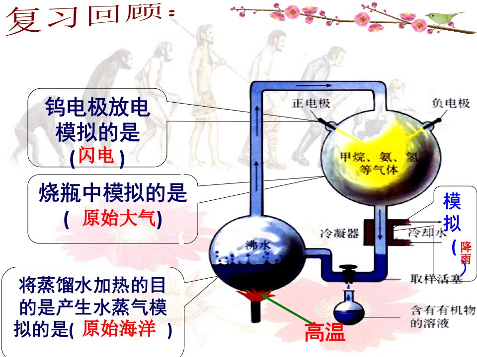 生物进化的历程