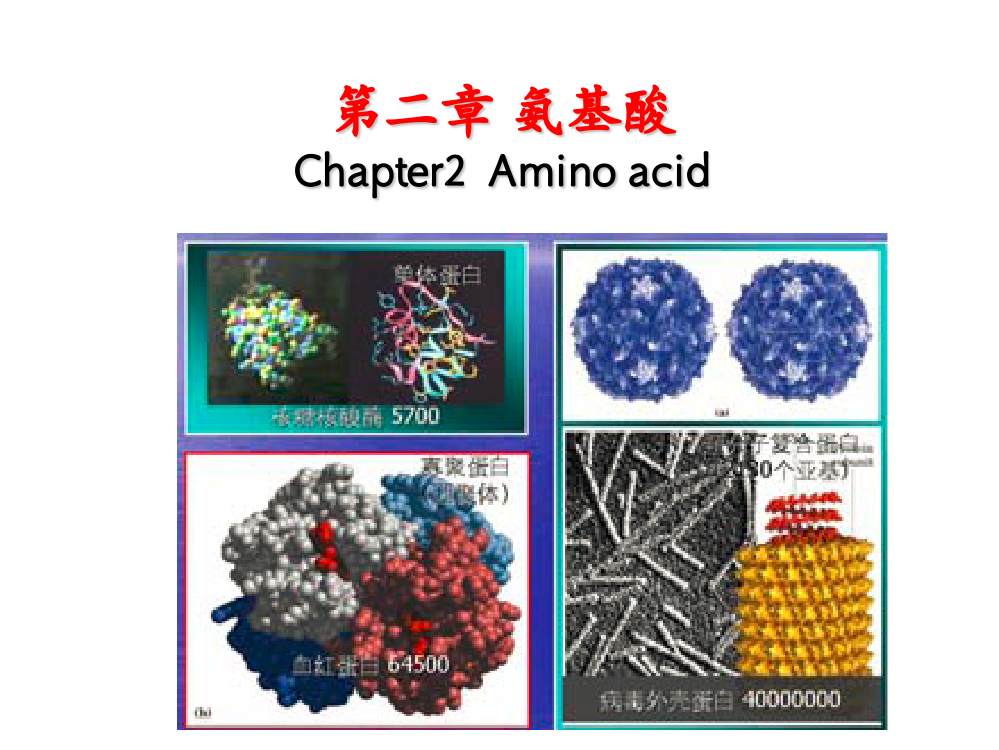 生物化学-王镜岩-第三章-氨基酸