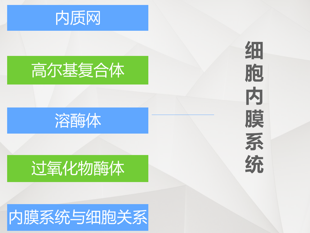 医学细胞生物学第一章内质网-PPT幻灯片