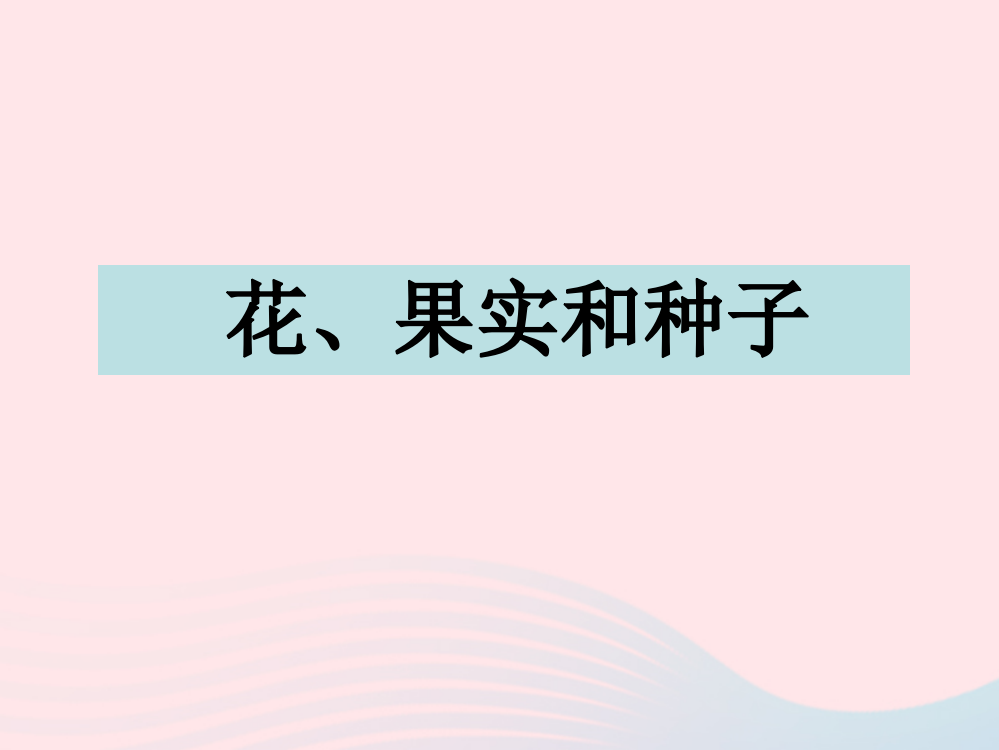 四年级科学下册