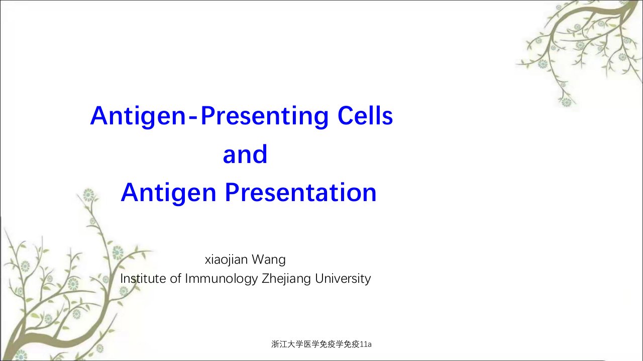 浙江大学医学免疫学免疫11a