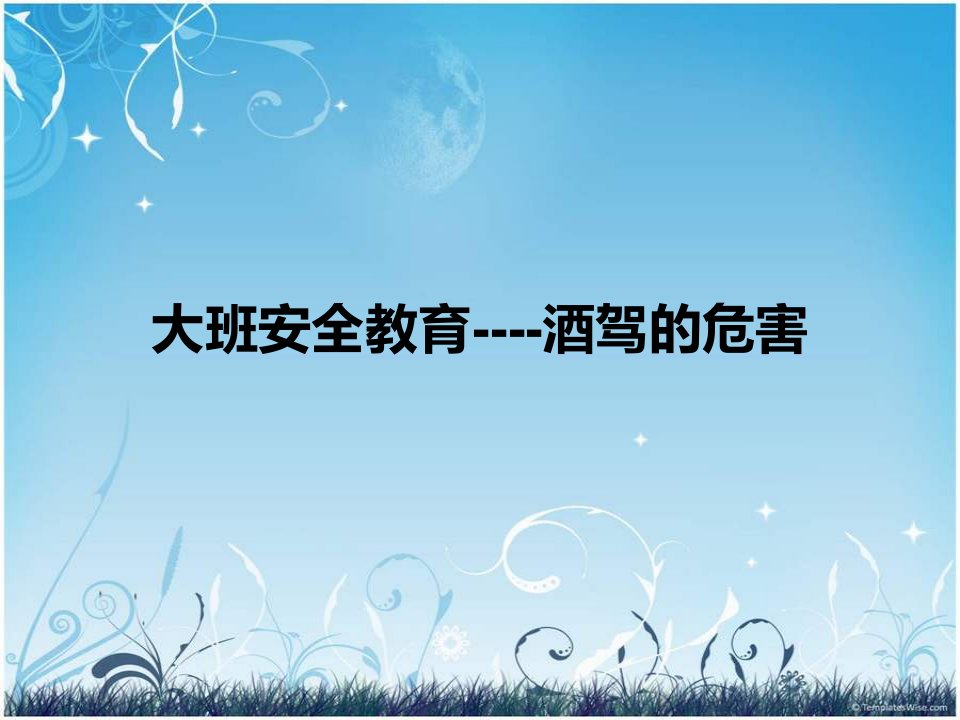 大班安全教育--酒驾-课件（PPT·精·选）