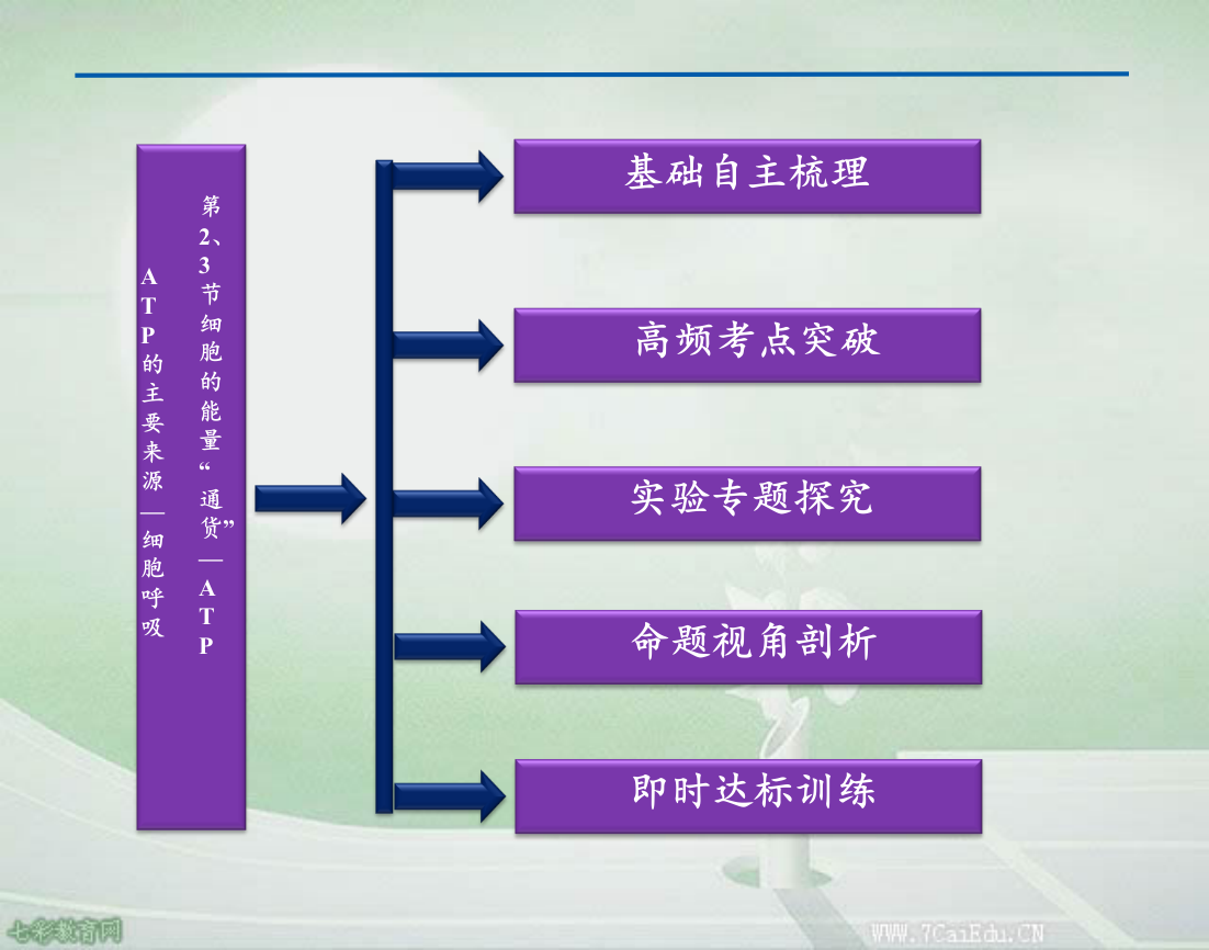 第节细胞的能量通货atpPPT课件