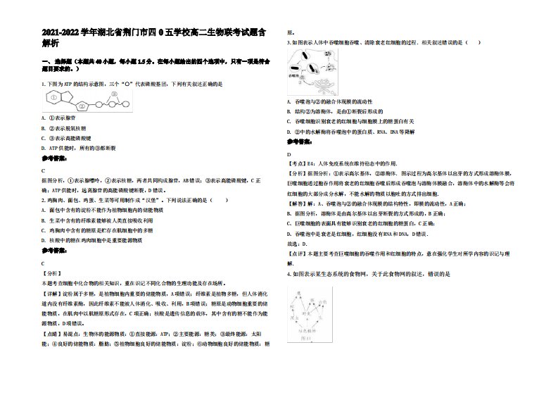 2021-2022学年湖北省荆门市四0五学校高二生物联考试题含解析