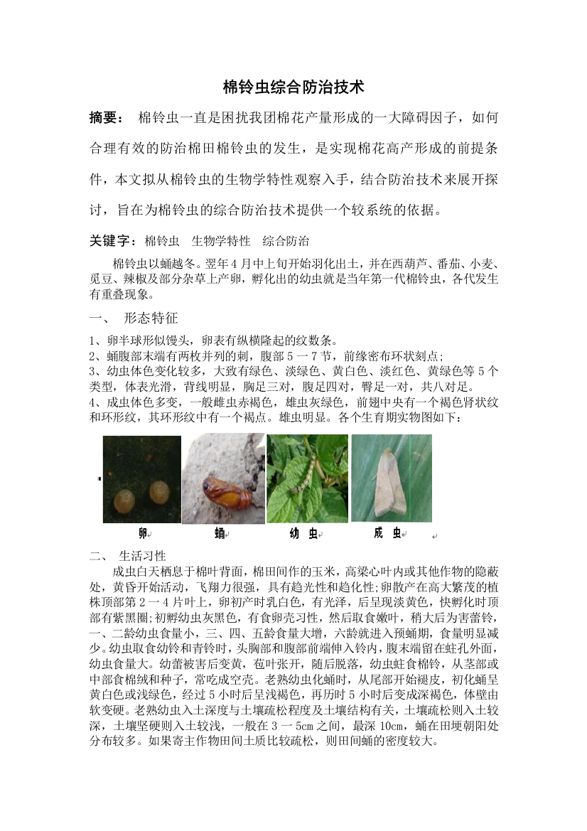 棉铃虫的综合防治技术