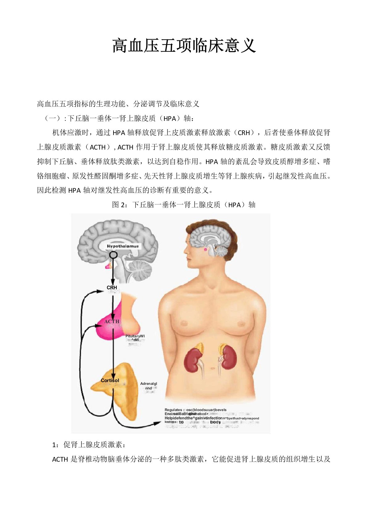 高血压五项临床意义