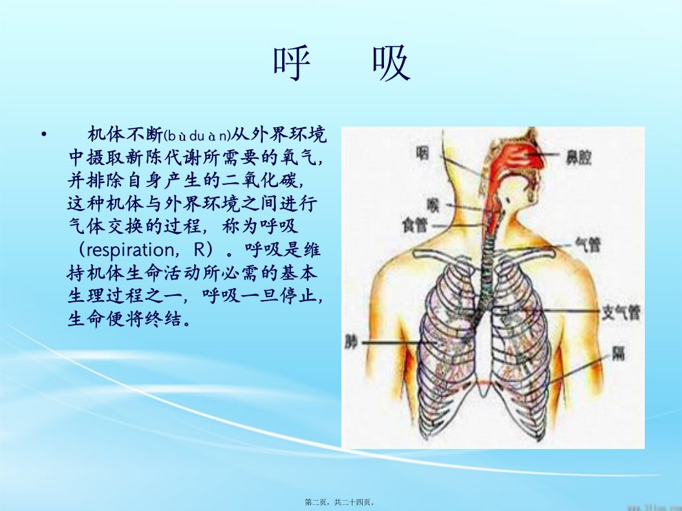 医学专题第三节呼吸的观察