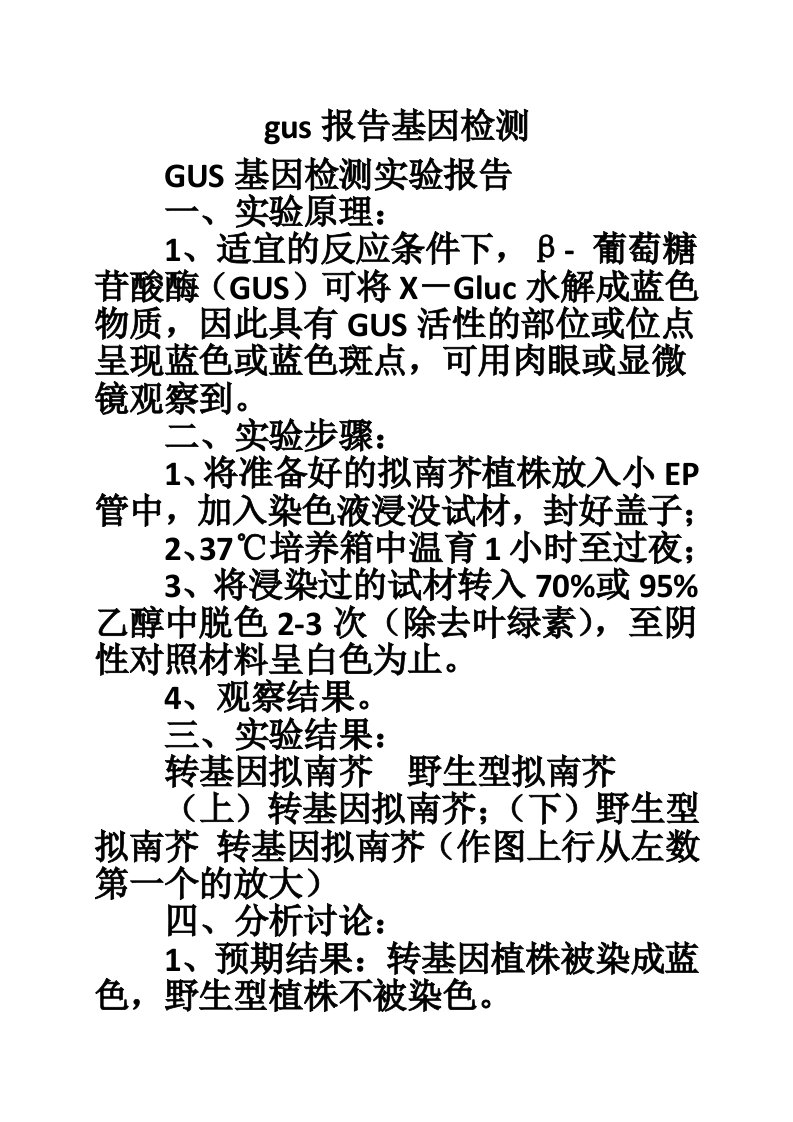 gus报告基因检测