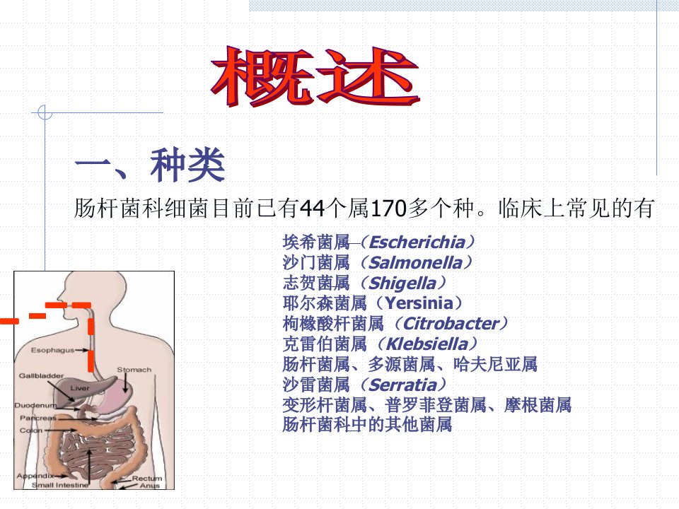 医学专题海医第10章肠杆菌科