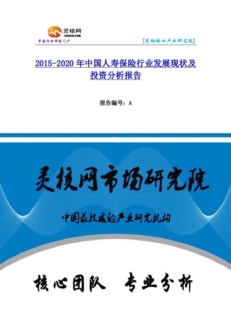 中国人寿保险行业市场分析与发展趋势研究报告-灵核网