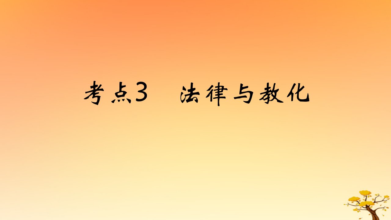 2025版高考历史一轮复习新题精练专题十三国家制度与社会治理考点3法律与教化基础知识课件