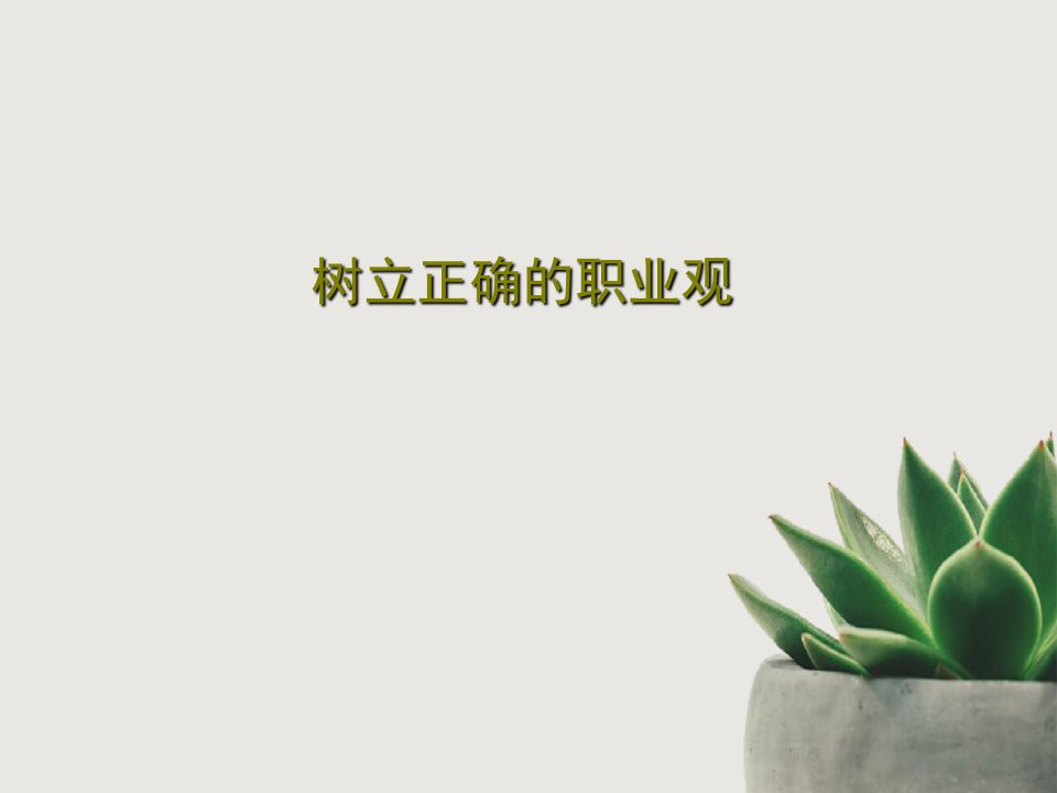 树立正确的职业观课件