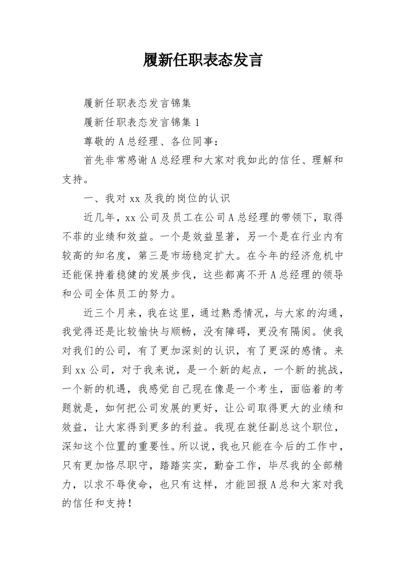 履新任职表态发言