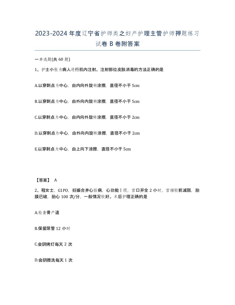 2023-2024年度辽宁省护师类之妇产护理主管护师押题练习试卷B卷附答案