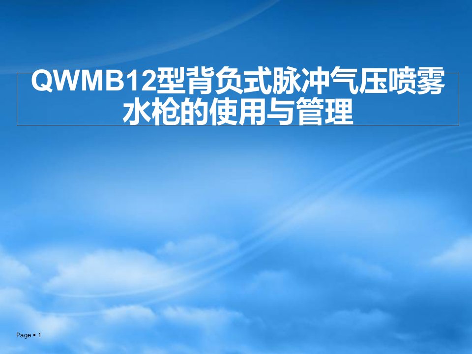 QWMB12高压脉冲水枪