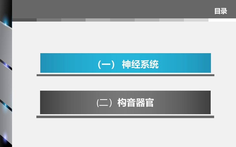 言语相关解剖生理基础课件