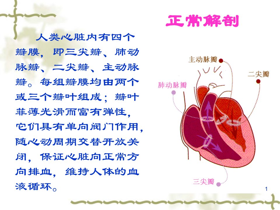 主动脉瓣置换术后的护理PPT课件