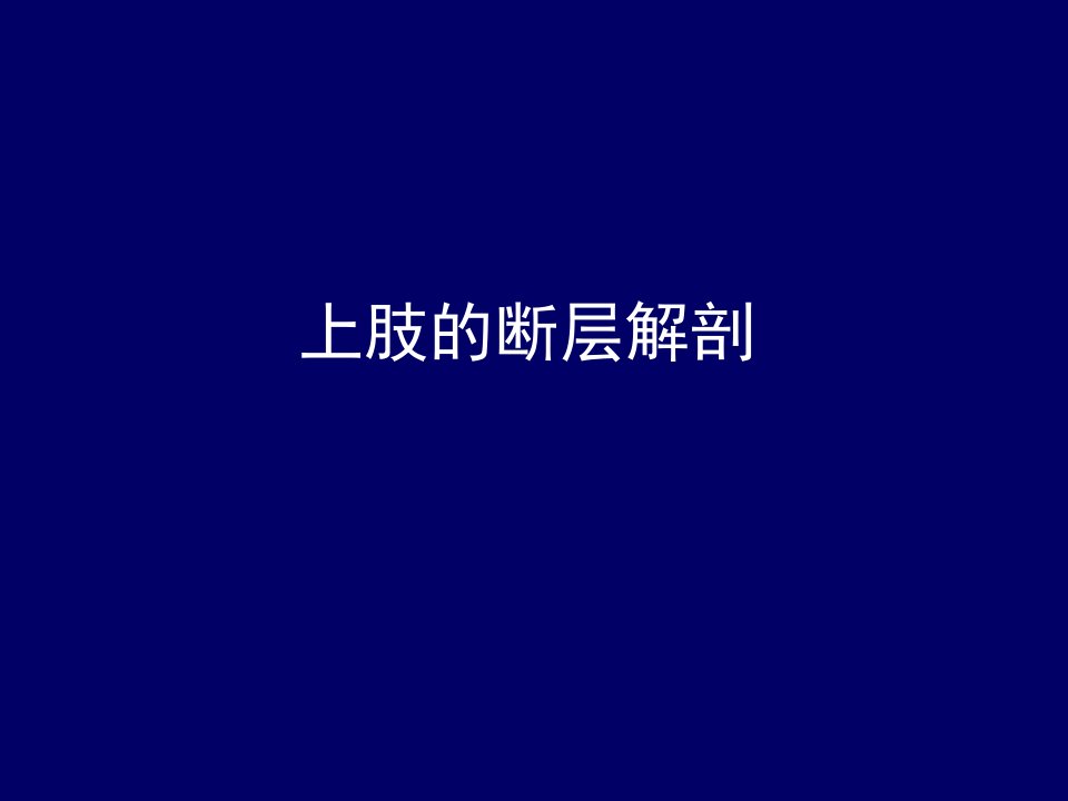 上肢的断层解剖-人体断层解剖学-课件