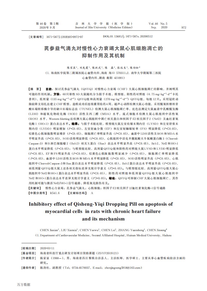 芪参益气滴丸对慢性心力衰竭大鼠心肌细胞凋亡的抑制作用及其机制