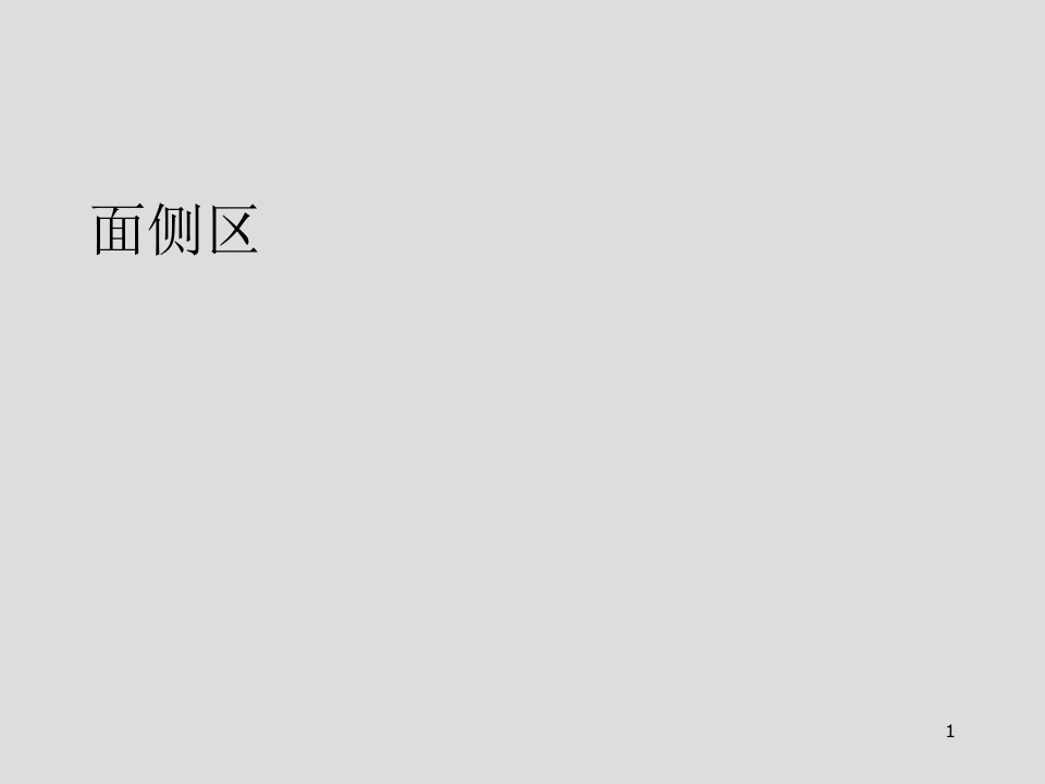 局部解剖学面侧区演示PPT