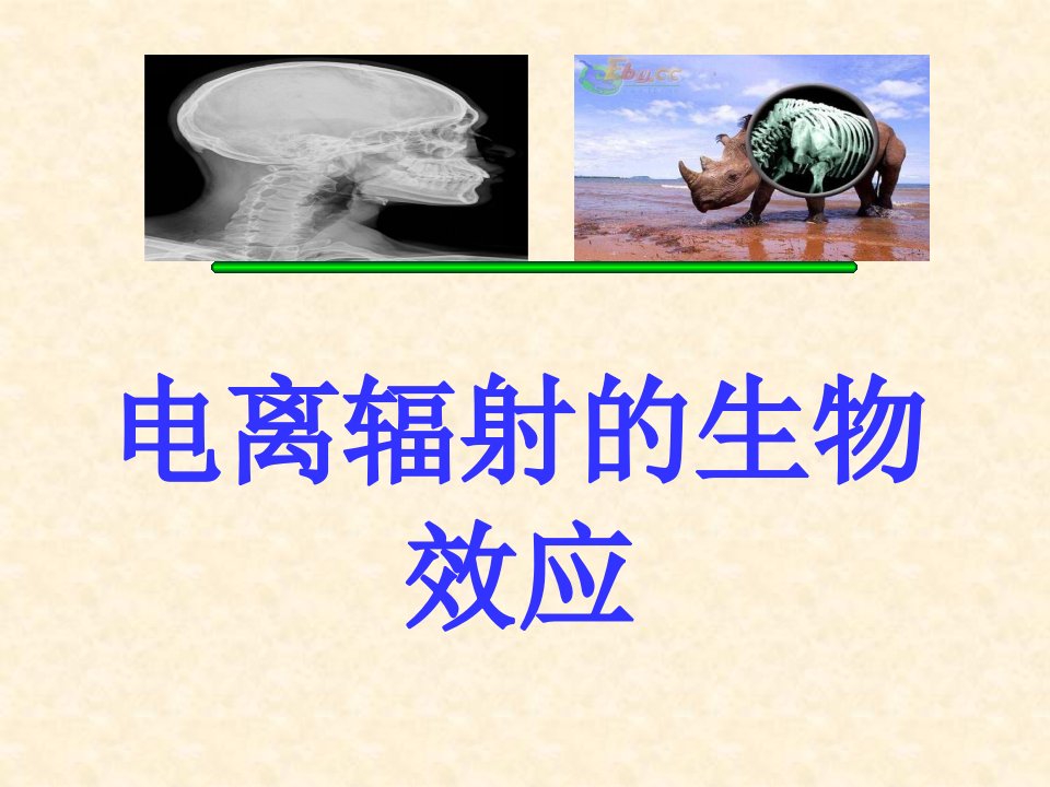 04电离辐射的生物效应