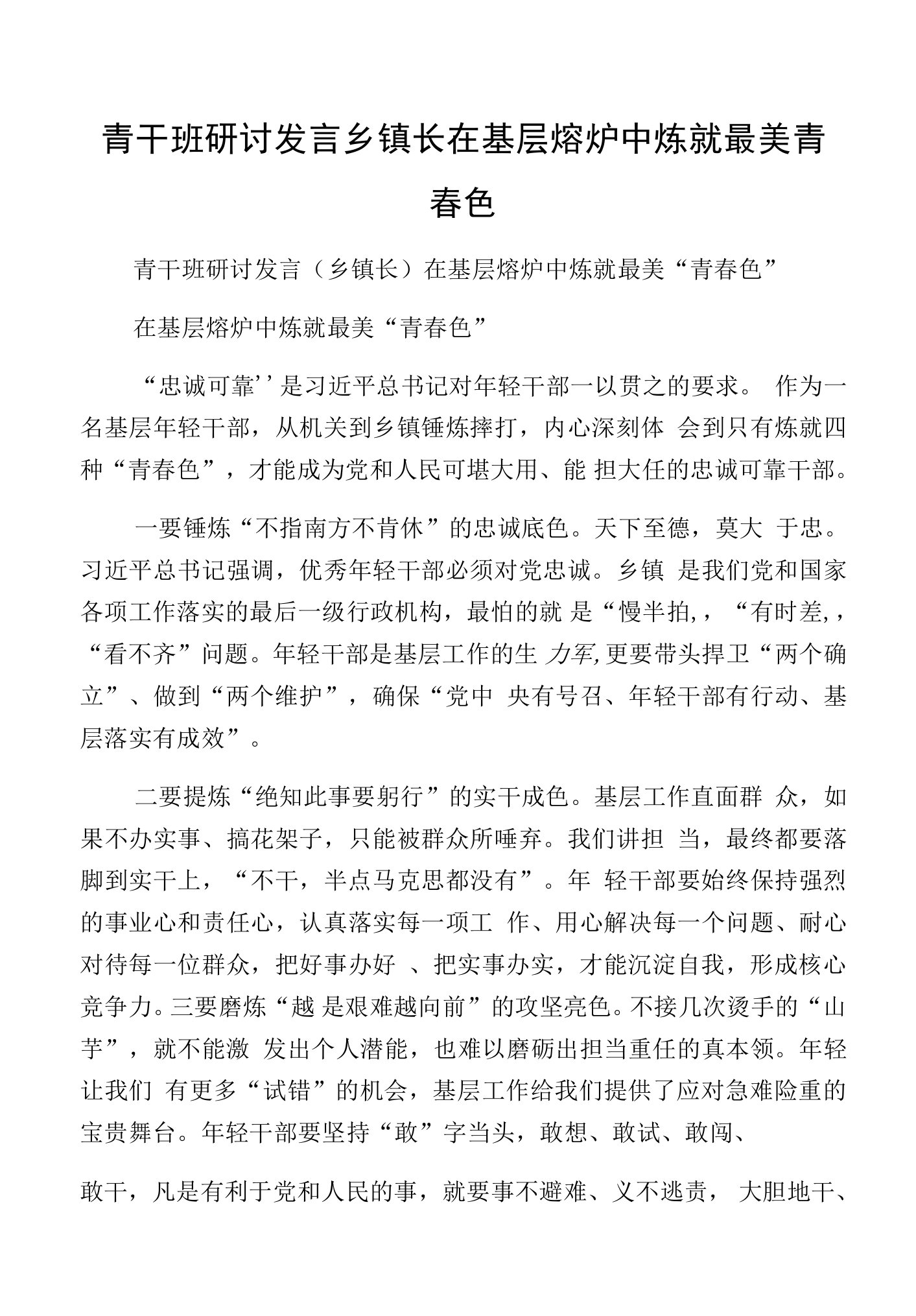 青干班研讨发言乡镇长在基层熔炉中炼就最美青春色