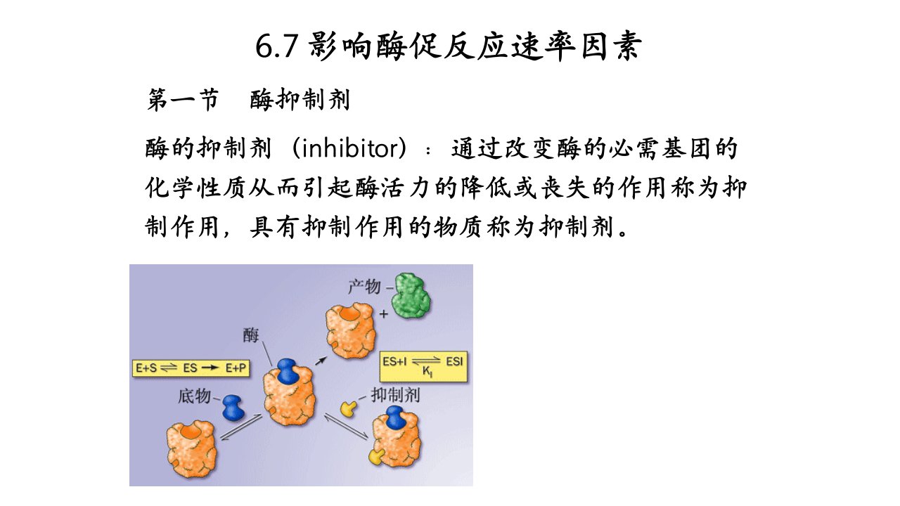 酶的竞争性抑制