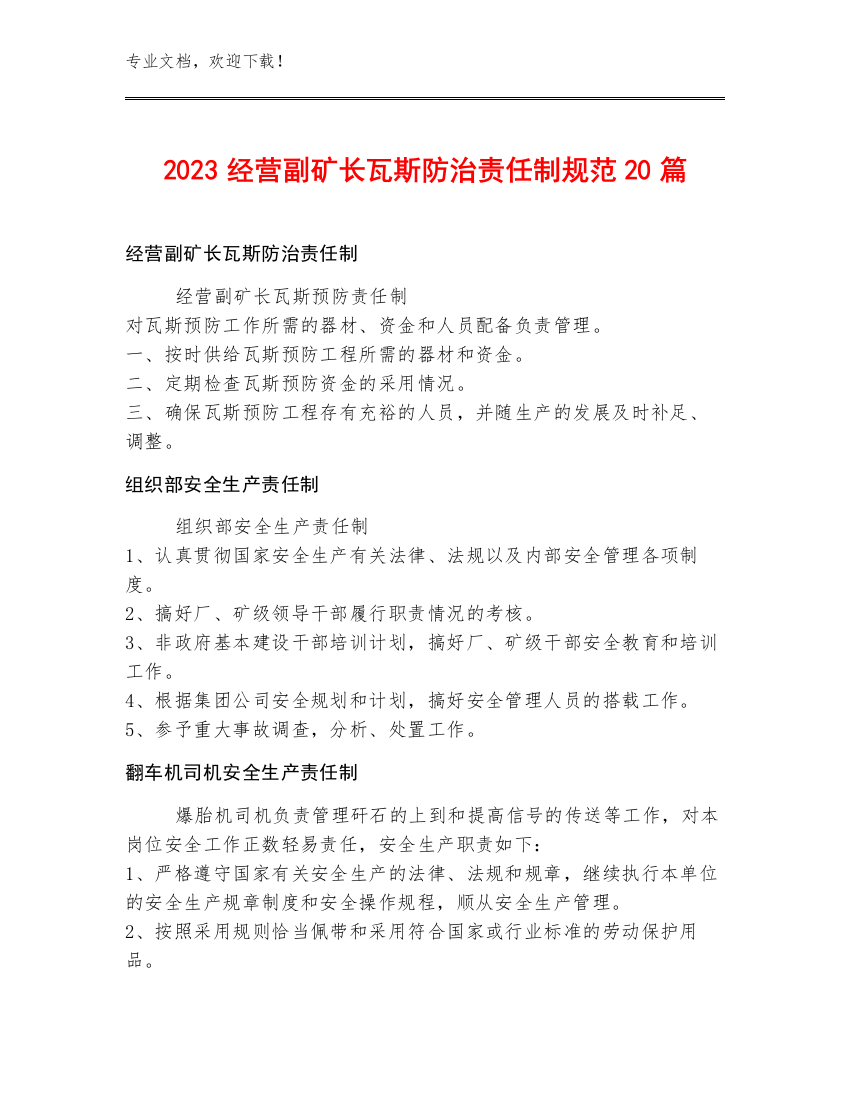 2023经营副矿长瓦斯防治责任制规范20篇