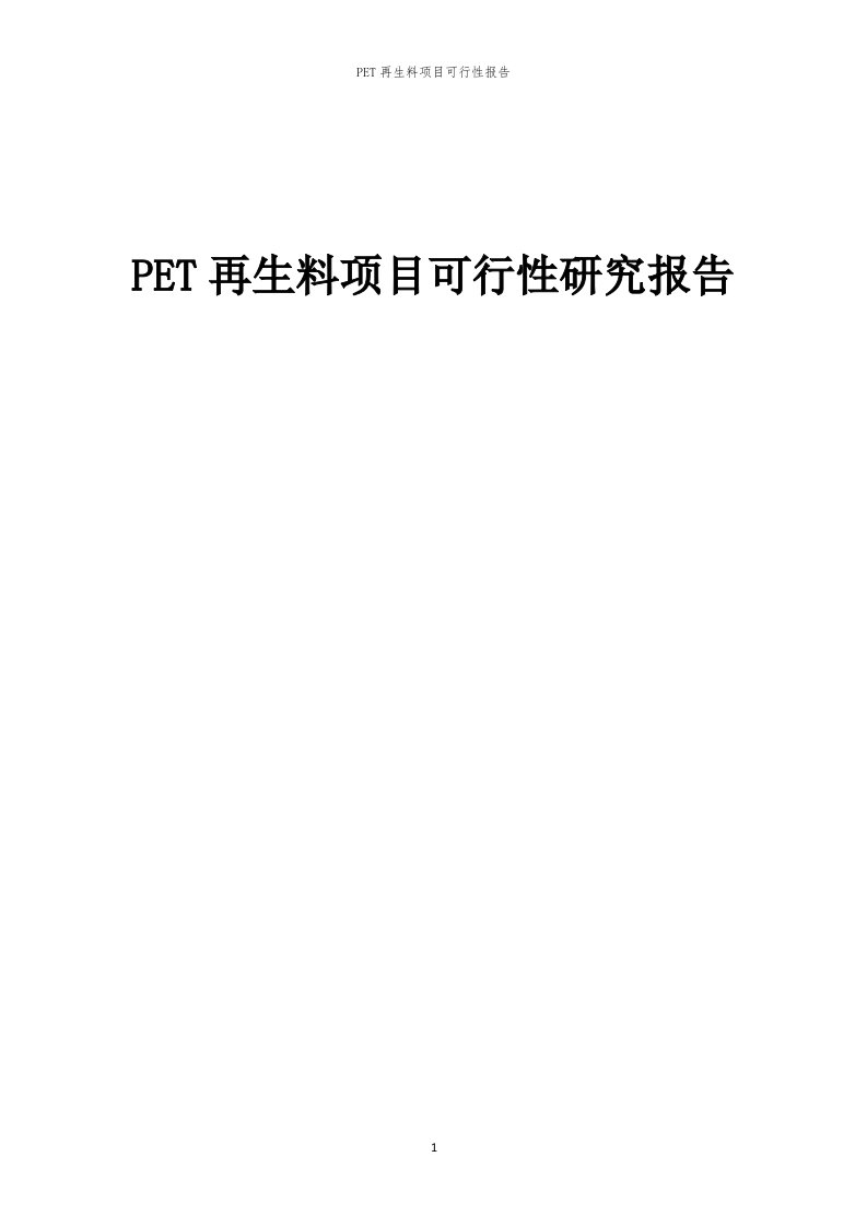 PET再生料项目可行性报告